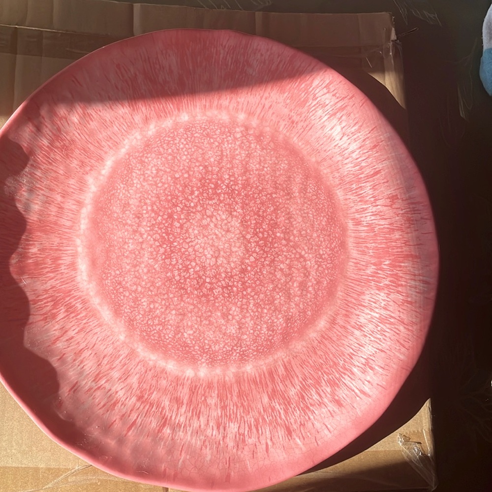 New pier one coral serving plate